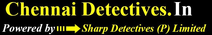 chennai detectives logo